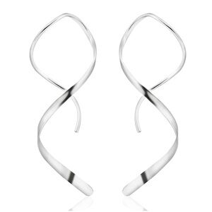 NWT silver earrings